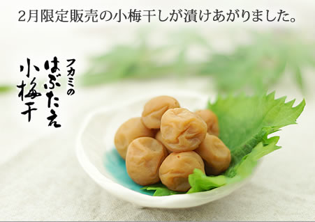 梅干し,梅,青梅,梅肉エキス,紀州南高梅干通販専門店 - 深見梅店 - はぶたえ小梅干し
